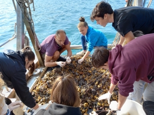 Progetto sulla conoscenza dell'ecosistema marino del rovignese