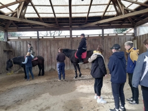 Visita al Centro di equitazione della famiglia Haber