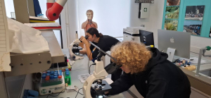 Ricercatori non si nasce, si diventa